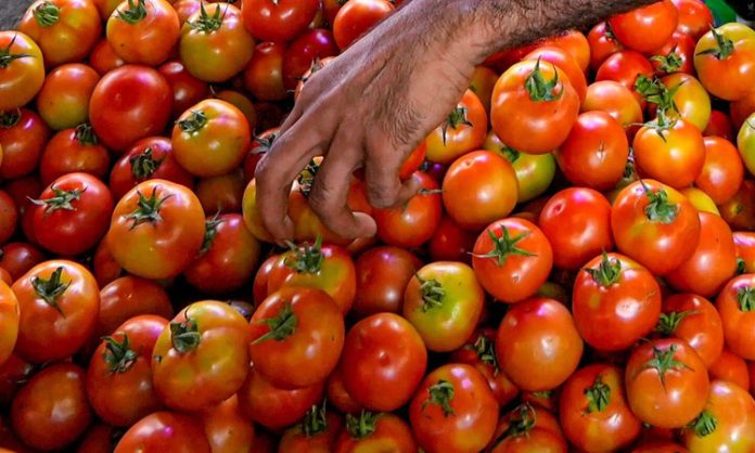 tomatoes Prices fell in Delhi market