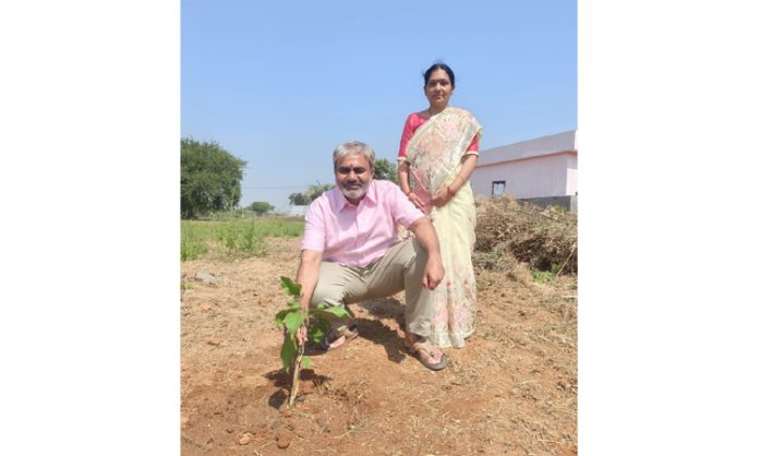 Let's plant... save the environment!
