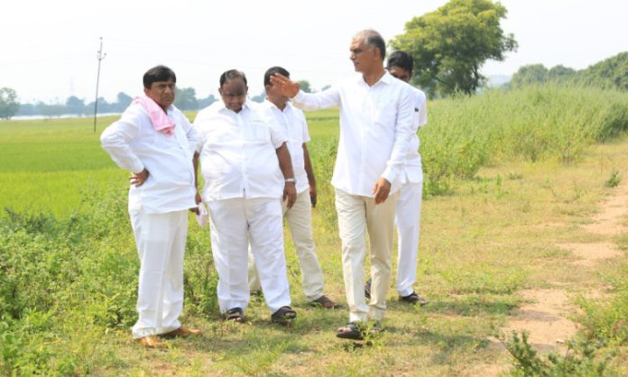 Harish rao comments on Congress