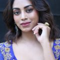 Heroine Kamakshi Bhaskarla Interview Photos