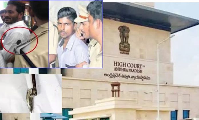 The Andhra Pradesh High Court stayed the investigation of the Kodikatthi case