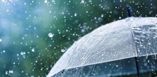 Rains