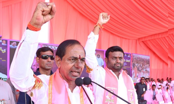 CM KCR Sensational Comments On Revanth Reddy