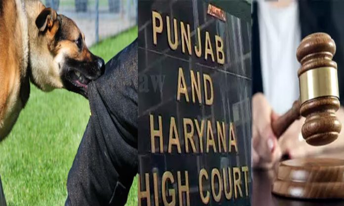 Haryana High Court Rules Rs10k per Teeth Mark of Dog