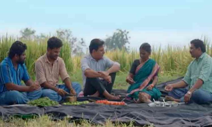 KTR dawat with Gangavva in the fields