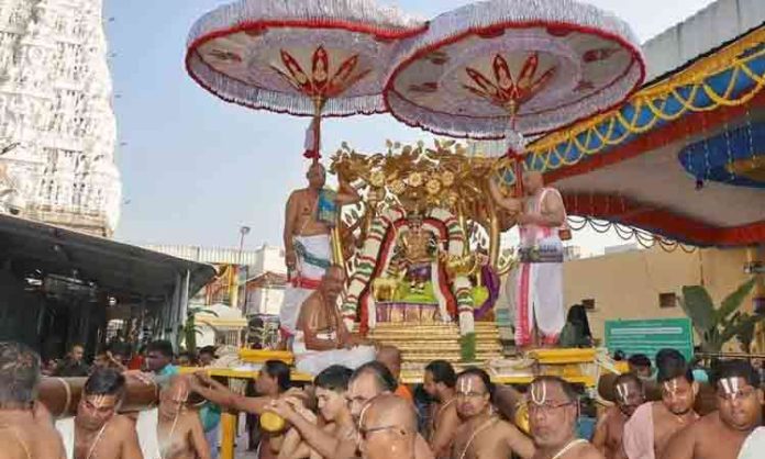 Rajamannar rides on Kalpavriksha Vahanam in Tirupati