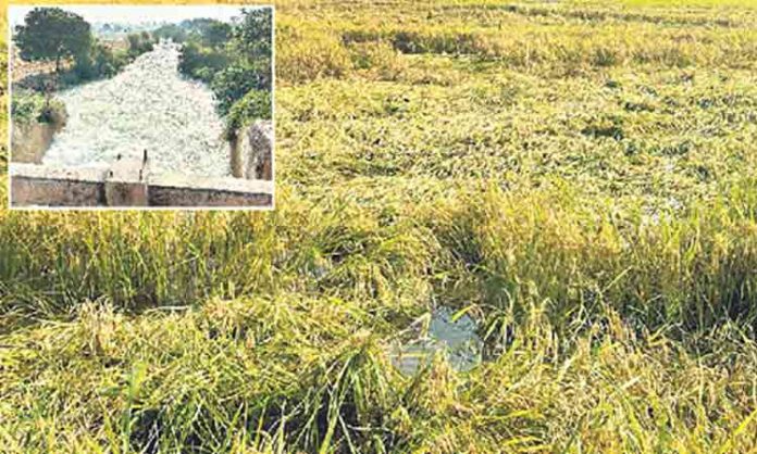 A canal shutter washed away by Sagar water