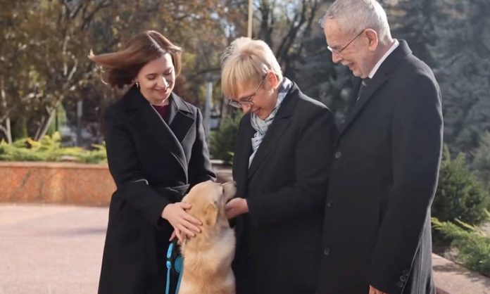 Austria prime minister alexander bite by dog