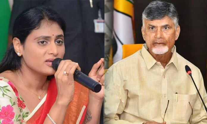 Chandrababu and Sharmila quit from Telangana Polls 2023