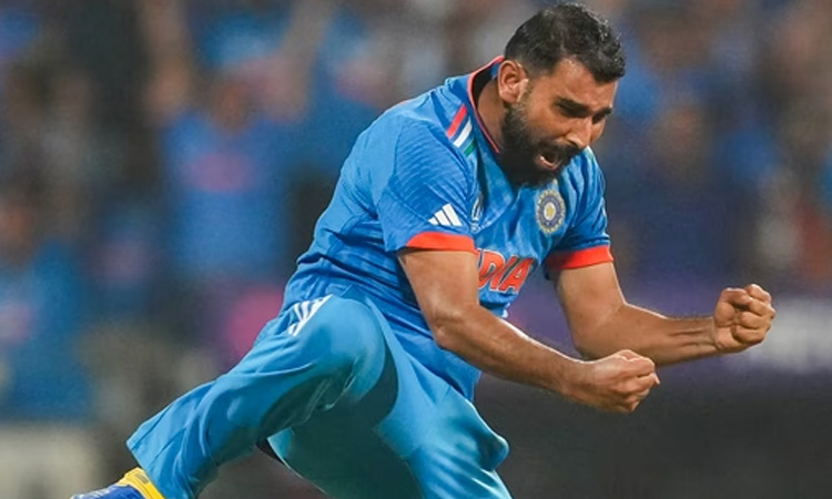 Shami take Seven Wickets