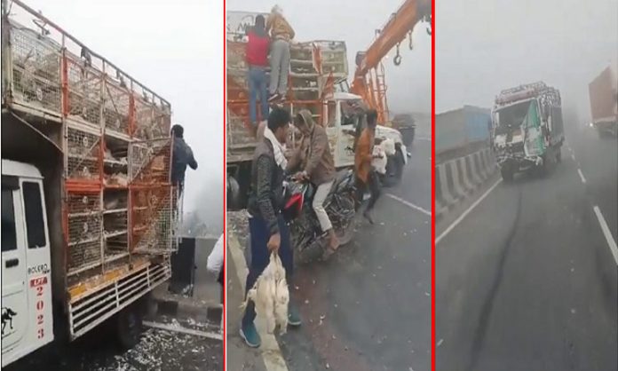Chicken carrying truck accident in Agra-Delhi highway