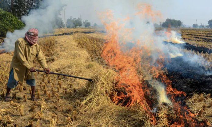 Crop Residue Burning in India