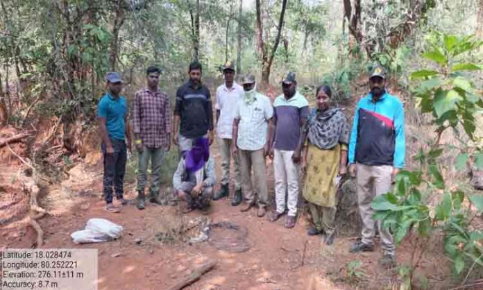 Deer hunting in Tadwai... one arrested