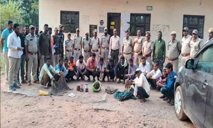 15 more deer poachers arrested