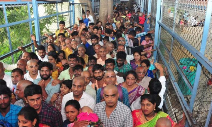 Huge Devotees to visit Tirumala Temple
