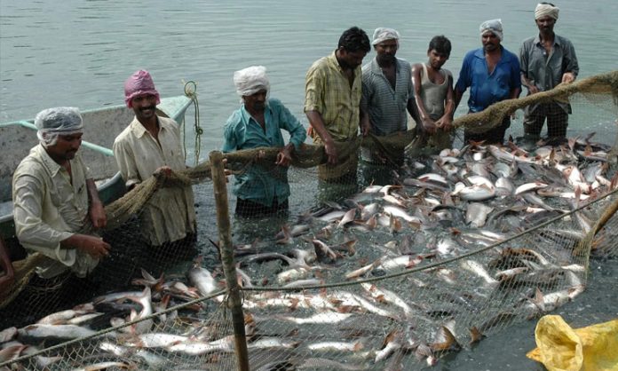 Fisheries must be strengthened