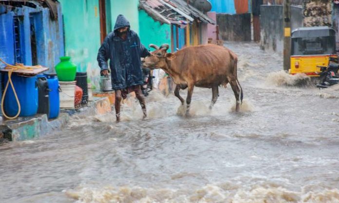 Heavy rains lash South Tamil Nadu