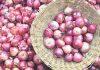 Ban on onion export