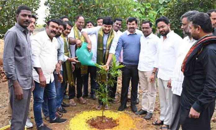 MP Santhosh participated in the Green India Challenge and planted saplings on his birthday