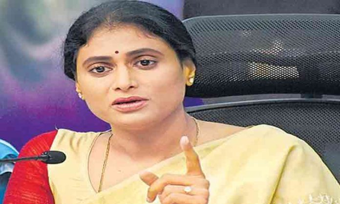 YS Sharmila as AP Congress Party President?