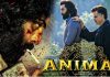 Animal first day collections