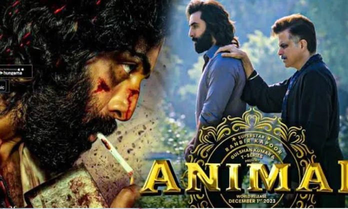 Animal first day collections