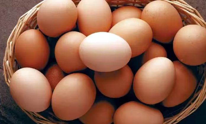 Karthikamasam End Today: Egg Prices increased