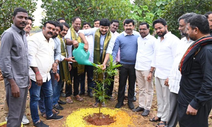 MP Santhosh Kumar plant saplings in Erravalli