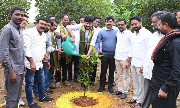 MP Santhosh Kumar plant saplings in Erravalli
