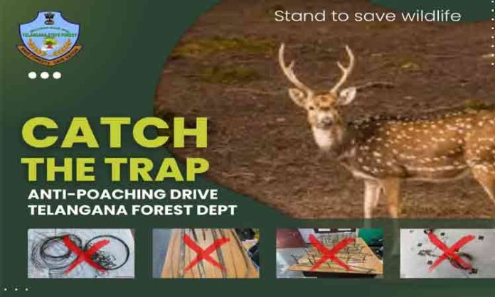 Forest Department Special Drive on Prevention of Wildlife Poaching