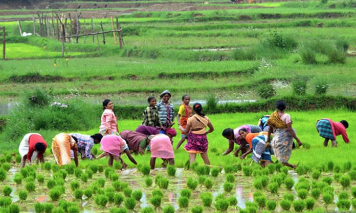 Women Farmers