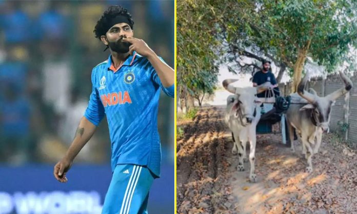 Jadeja takes vintage ride on bullock cart