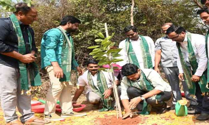 'Green India Challenge' aims to create a sustainable environment for future generations: MP Santhosh