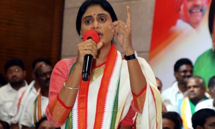 YS Sharmila Slams Chandrababu and YS Jagan