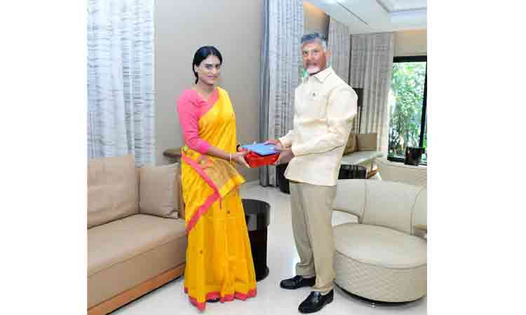 Sharmila and Chandrababu