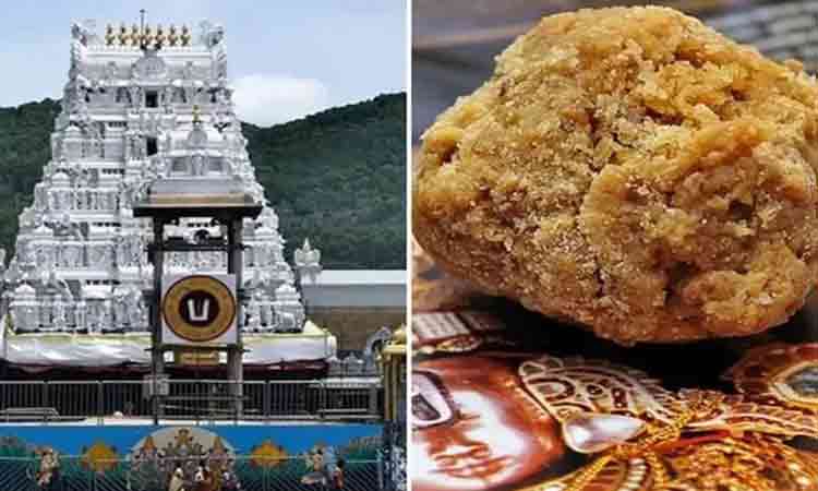 One lakh laddoos from Tirumala to Ayodhya