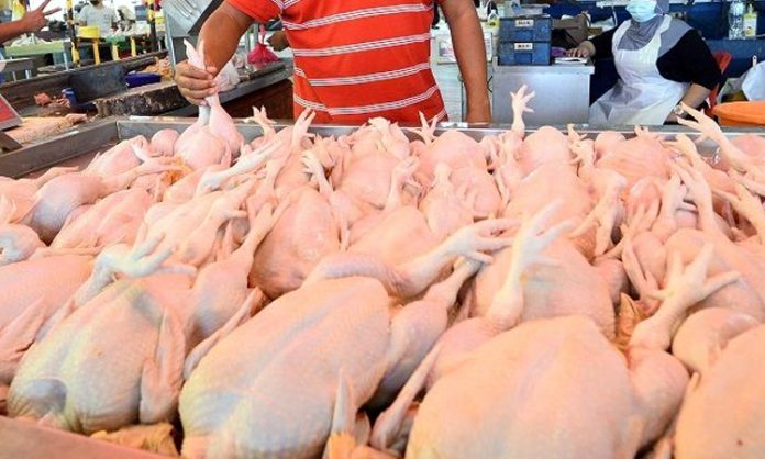 Chicken Prices Reduced in Telangana