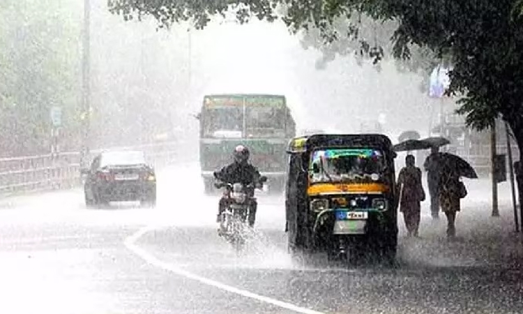 TN Govt give holiday for schools due to Rains