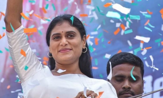 AP PCC chief is YS Sharmila