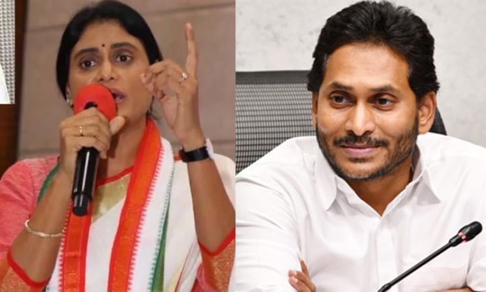 YS Sharmila Sensational Comments on CM Jagan