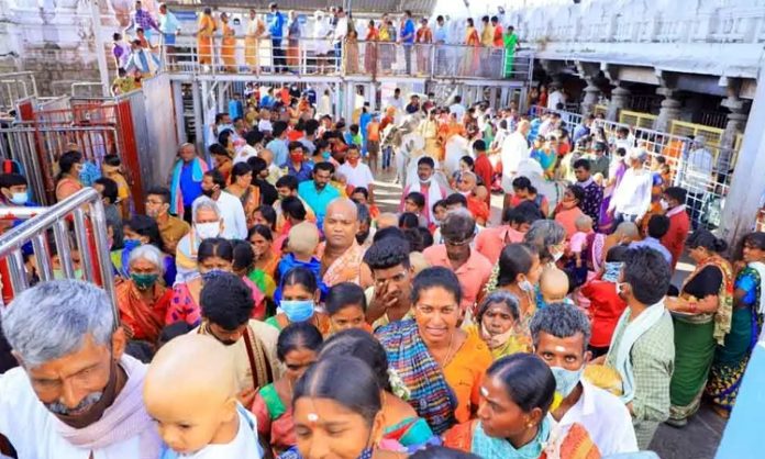 Huge Rush in Vemulawada Rajanna Temple