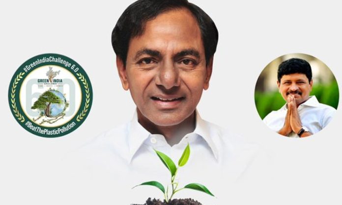 Trees sapling in KCR Birth day