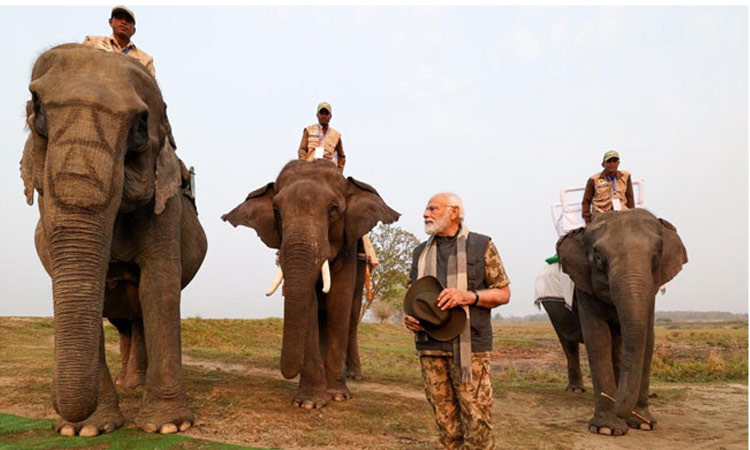 PM Modi Take Jungle Safari Atop Elephant in Kaziranga