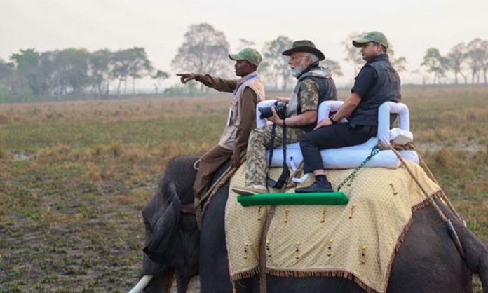 PM Modi Take Jungle Safari Atop Elephant in Kaziranga