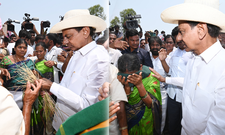 KCR Inspects Droughted Crops in Jangaon