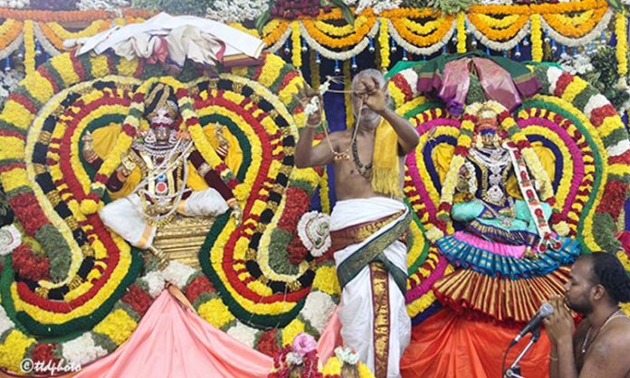 Sivaparvatula marriage in Tirupati