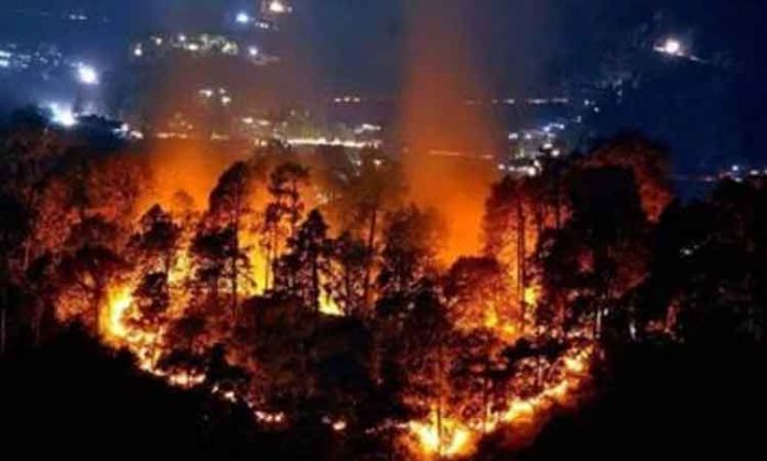 Nainital forest fire