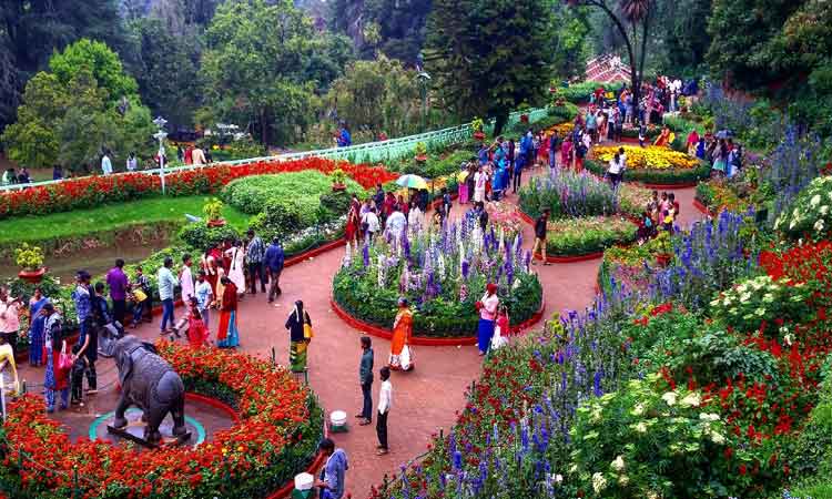 Ooty Botanical Garden