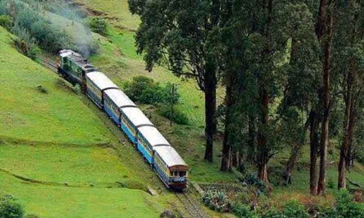 Ooty train