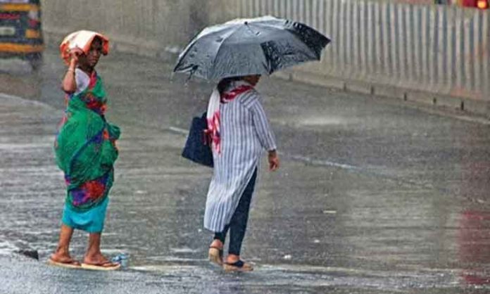 Rain fall this year may be above normal